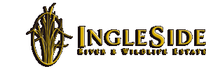 Ingleside